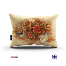 روبالشتی